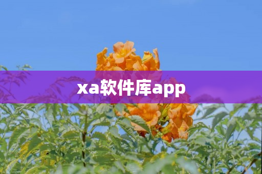 xa软件库app