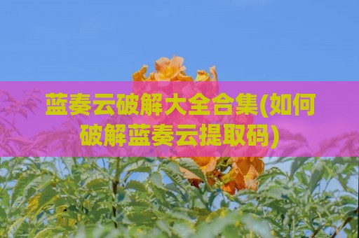 蓝奏云破解大全合集(如何破解蓝奏云提取码)